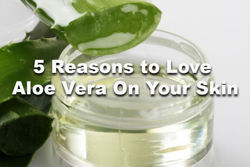 5 Reasons to Love Aloe Vera On Your Skin